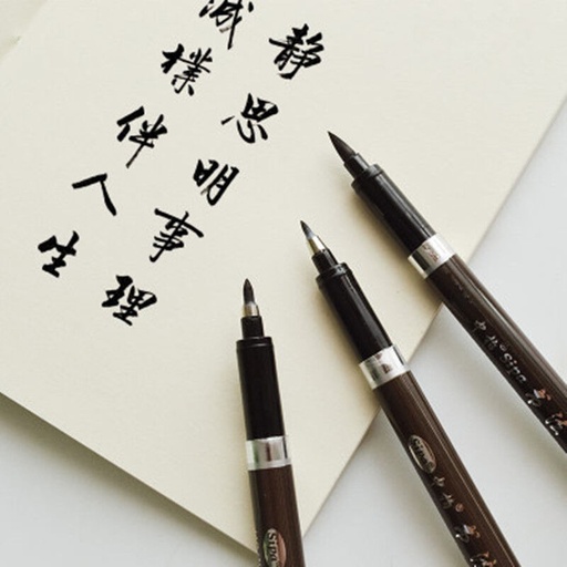 AM-CHINESE-PEN
